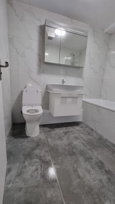Brand New Flat Close To Turnpike Lane Tube Station Лондон Экстерьер фото